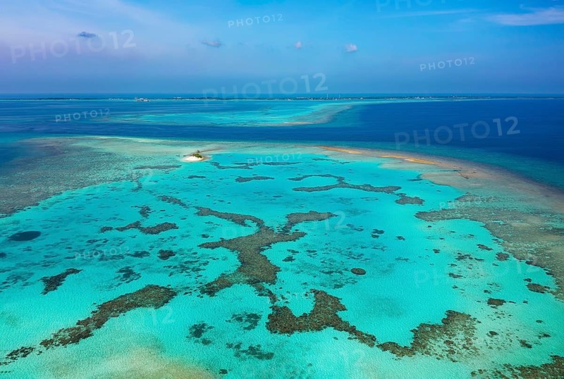 Reef top with lagoon and corals