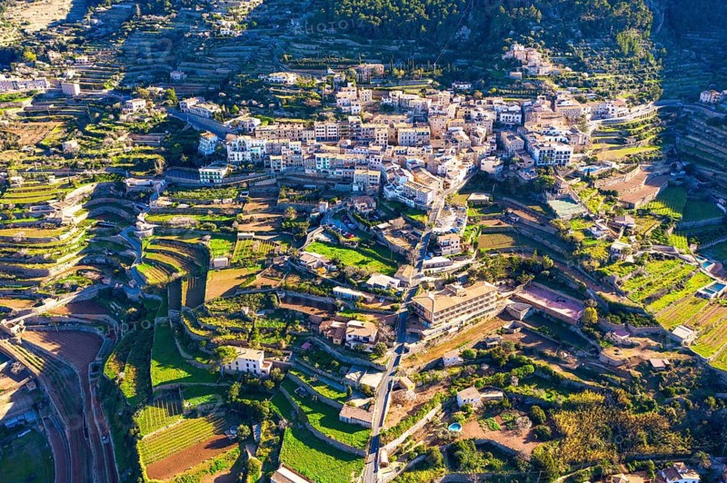 Terraced fields in Banyalbufar