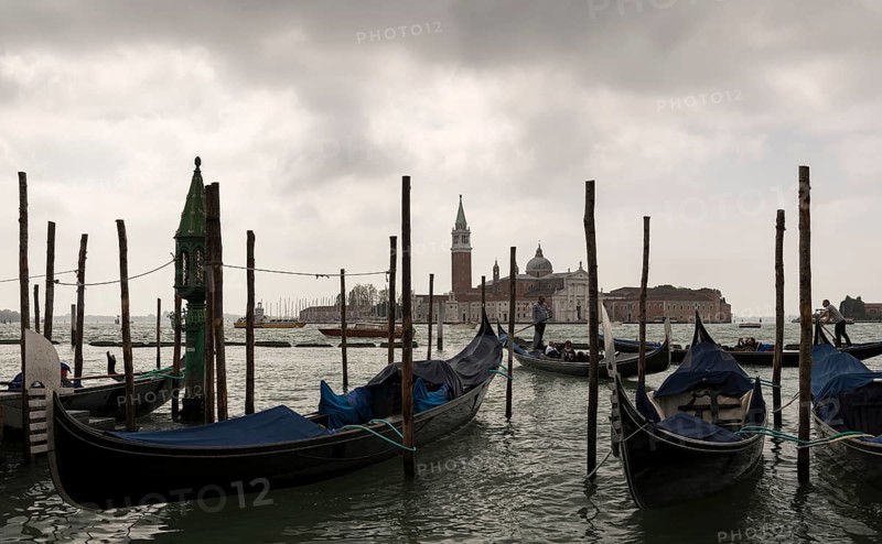 Gondolas in San Marco