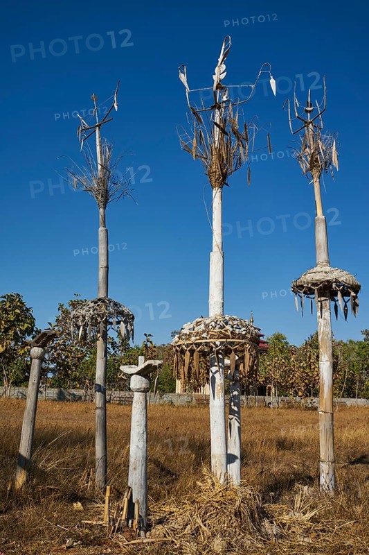 Animist totem poles