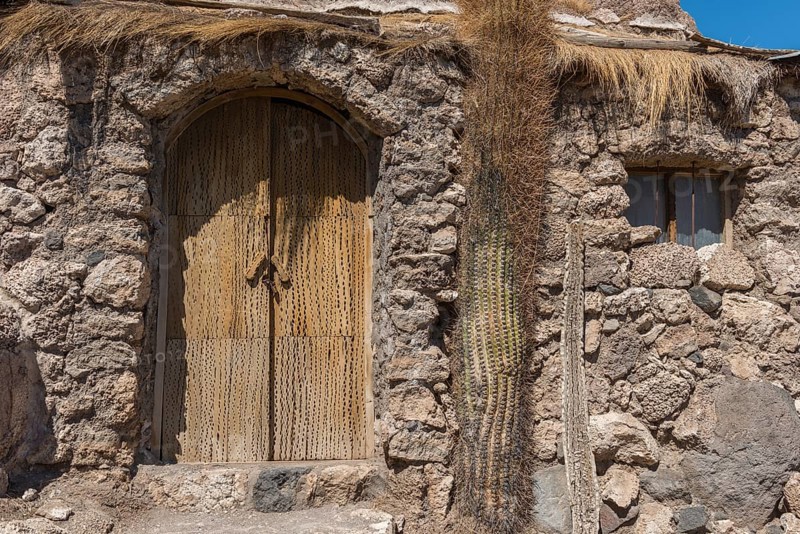 Door made of cactus wood