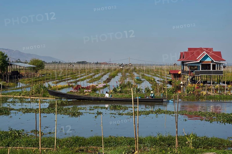 Floating gardens on Inle Lake