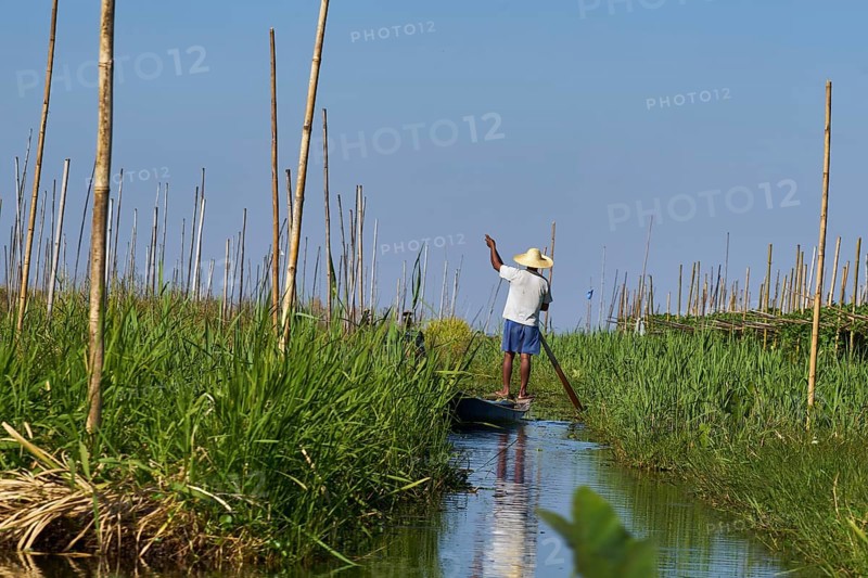 Man standing in a boat and rowing