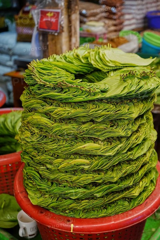 Leaves of Betel (Piper betle) Thiri Mingalar Market