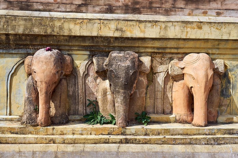 Elephant relief