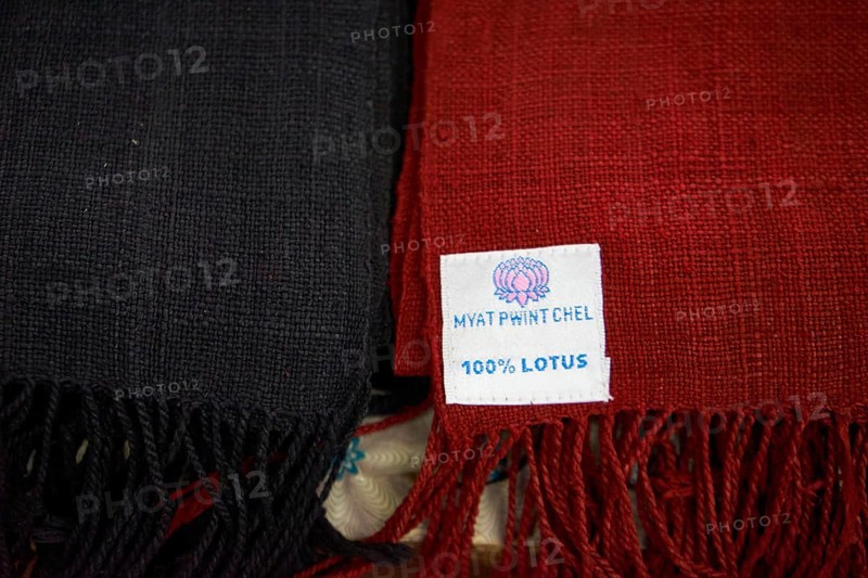Lotus fibre cloths