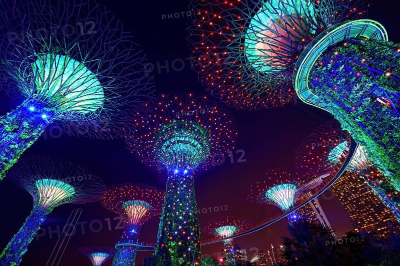 Supertrees at night