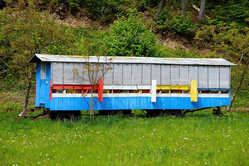 Bee cart