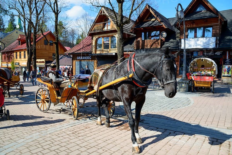 Horse-drawn carriage in the pedestrian zone and promenade Krupowki