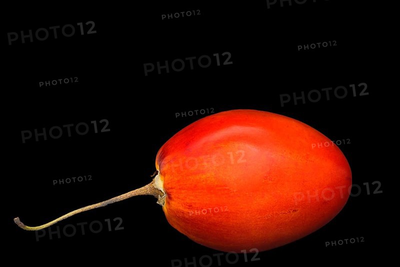 Tamarillo
