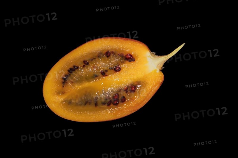 Tamarillo