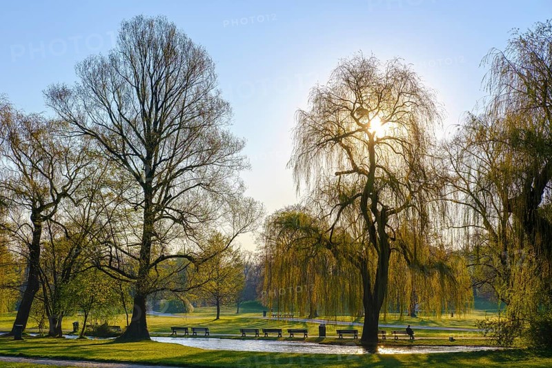 Schwabinger Bach in morning light