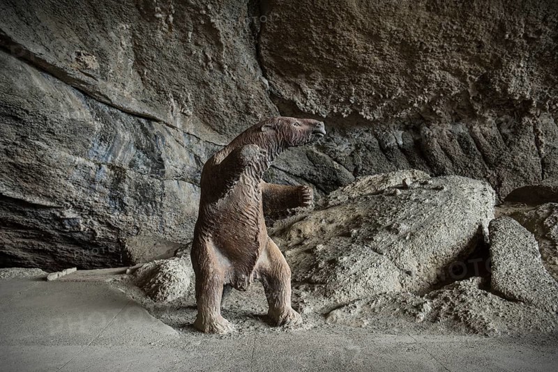 Reproduction of a prehistoric mylodon