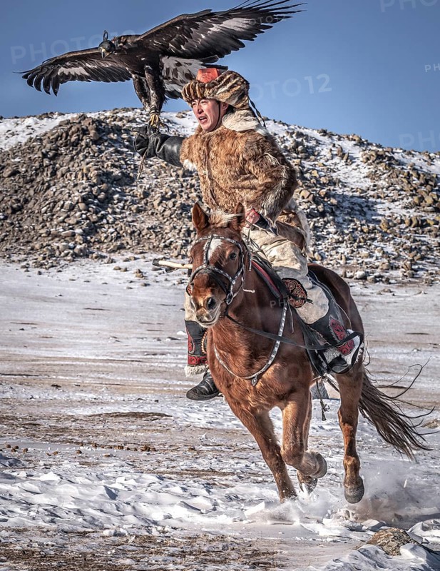 Mongolian eagle hunter