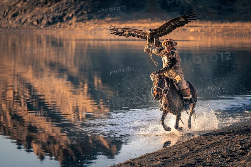 Mongolian eagle hunter