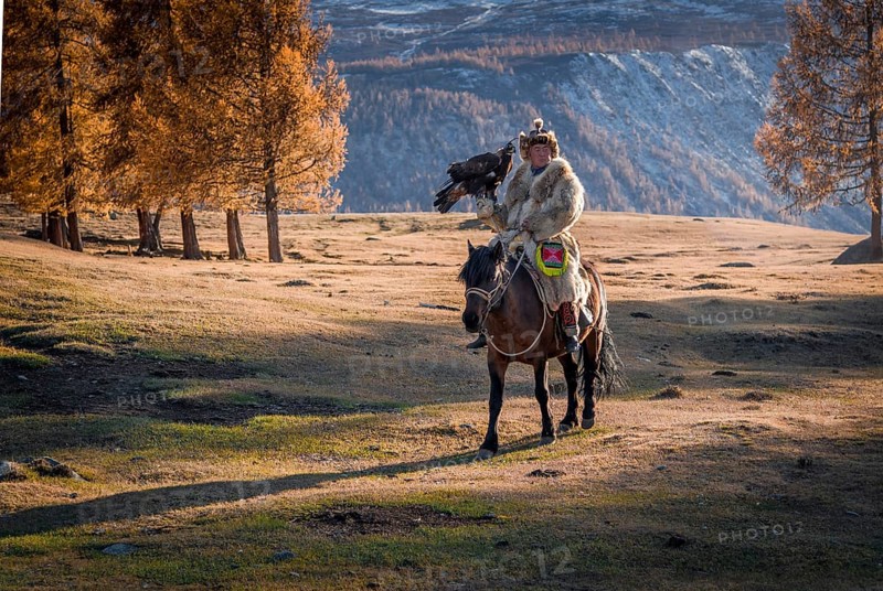Mongolian eagle hunter
