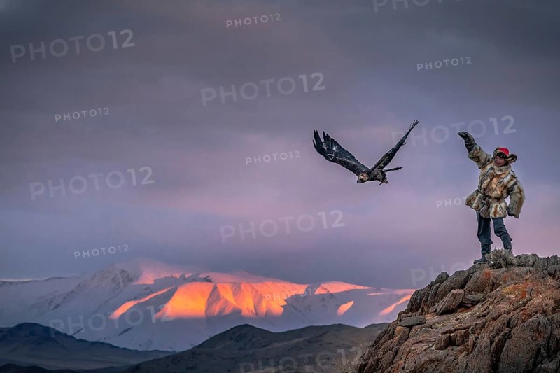 Mongolian eagle hunter with launching eagle on rock