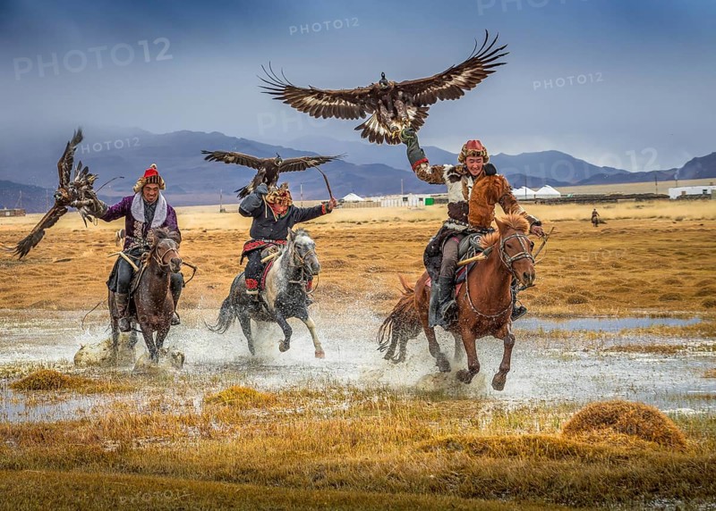Mongolian eagle hunter