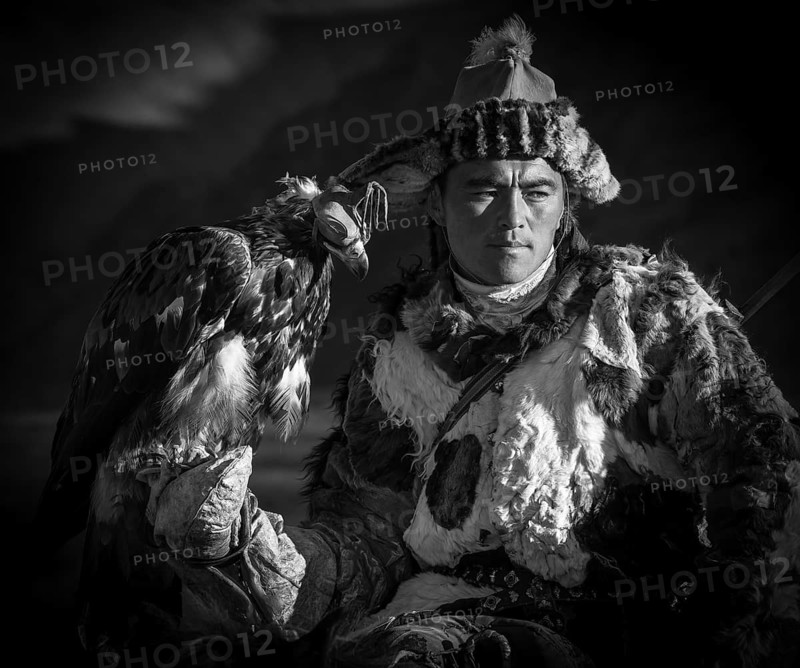 Mongolian eagle hunter poses with eagle with hood