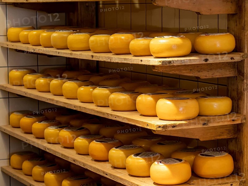 Cheeses on the shelf