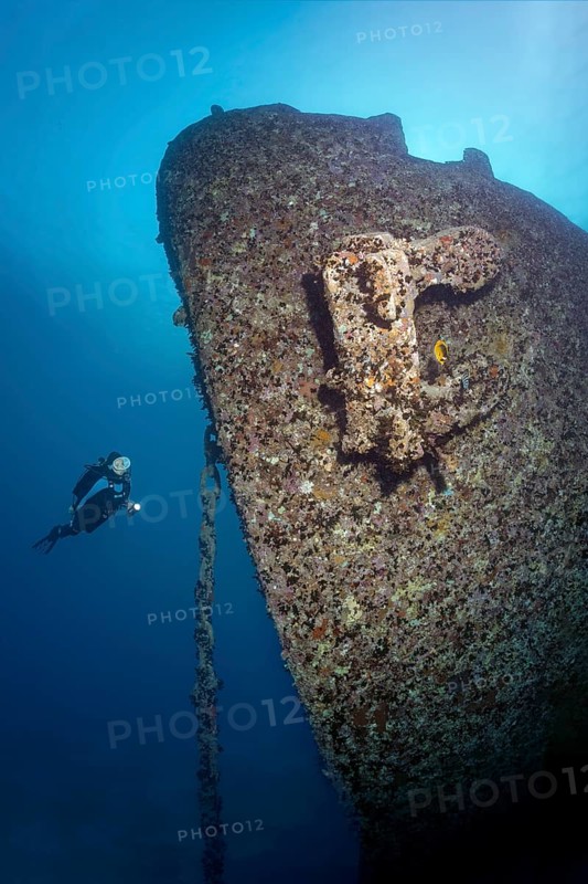 Diver viewing bow