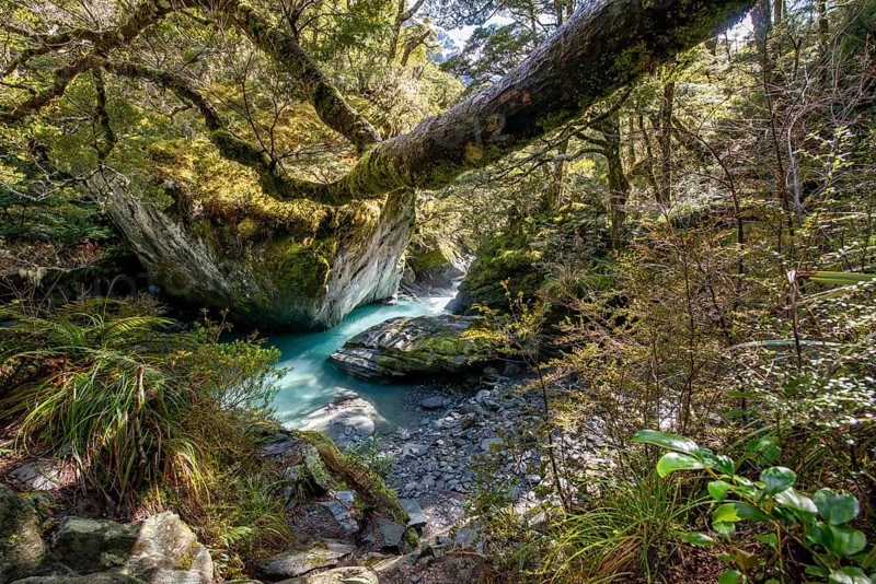 Rob Roy Stream