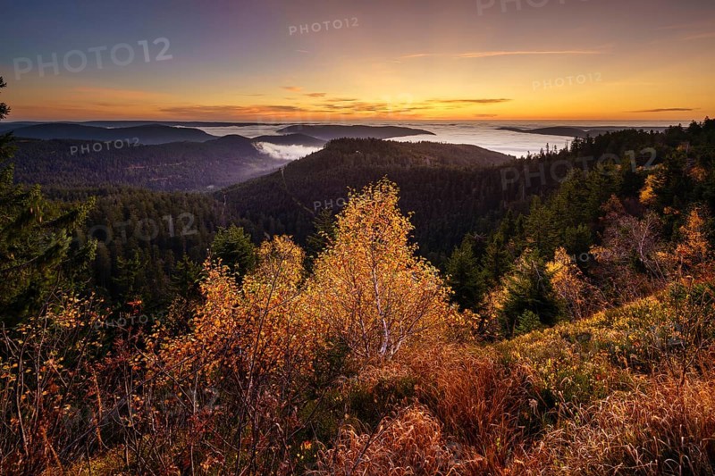 Autumnal dawn on the Hornisgrinde