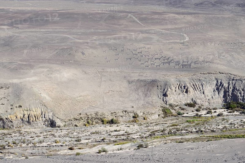 Geoglyphs of Tiliviche