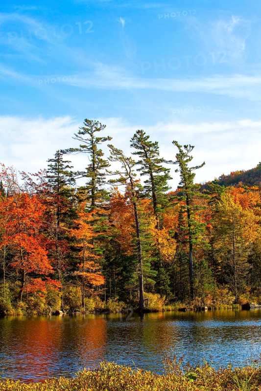 Baker Pond in autumn