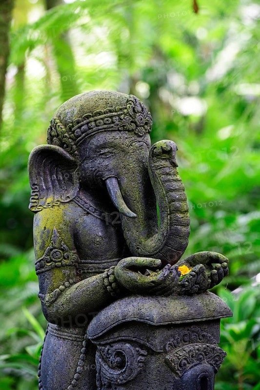 Ganesha Elephant God Statue at Mason Elephant Park & Lodge