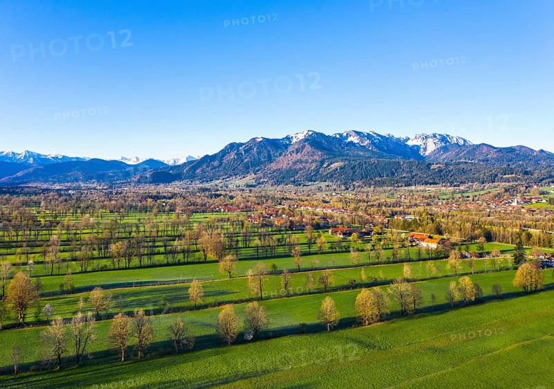 Hedge landscape in the Isar valley between Gaissach and Arzbach