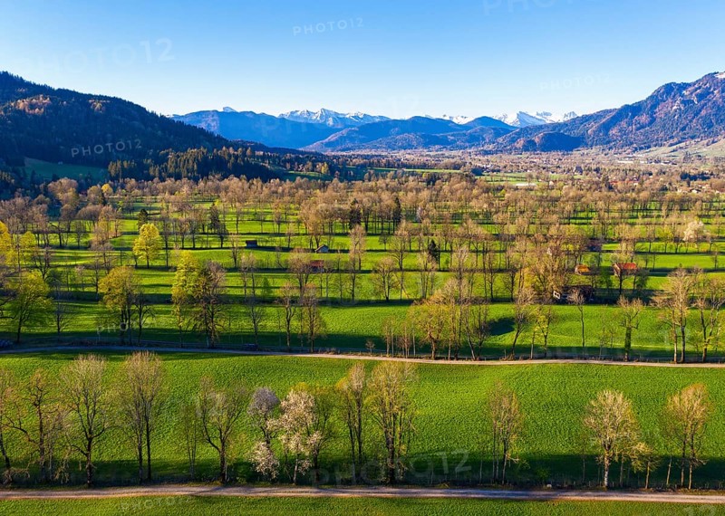 Hedge landscape in the Isar valley near Gaissach