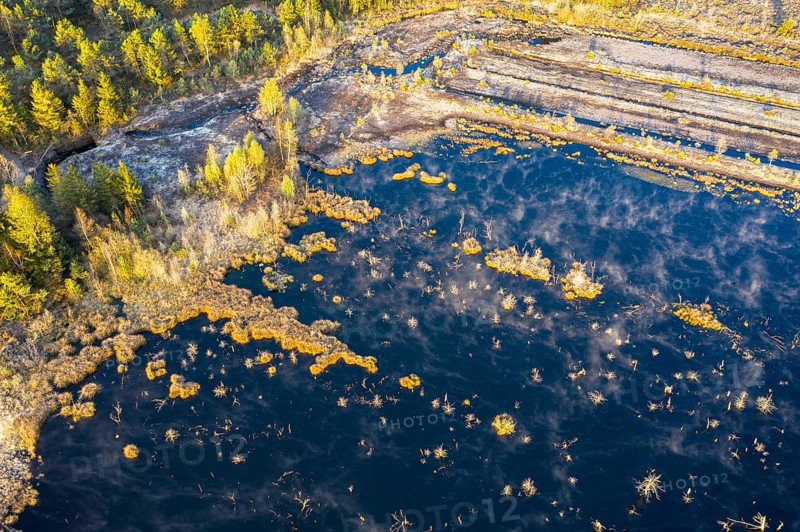 Wet peat extraction area