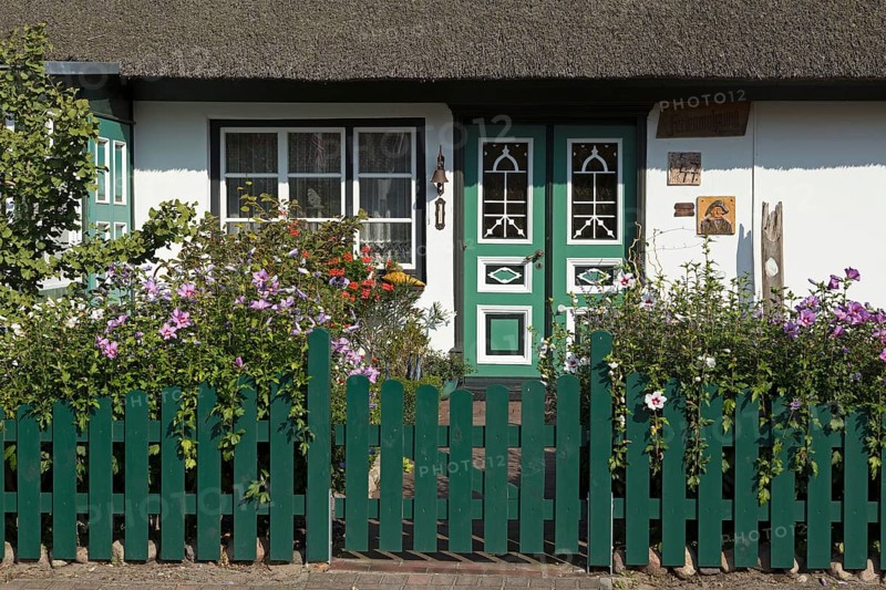 Thatched house in summer