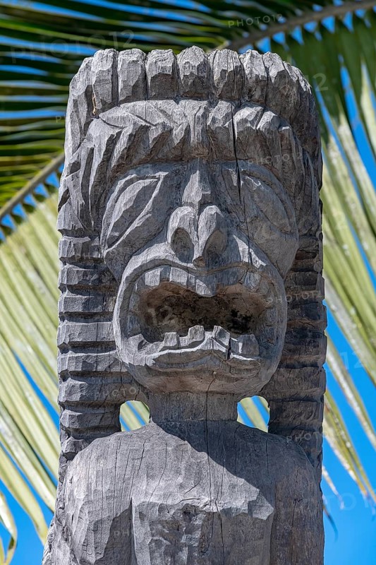 Guardian figure Tiki in front of palm leaf