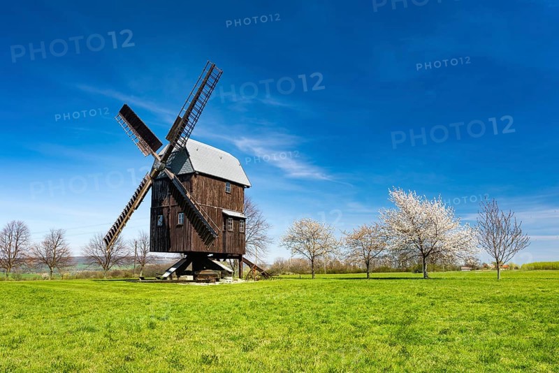 Buck Windmill Bechstedtstrass