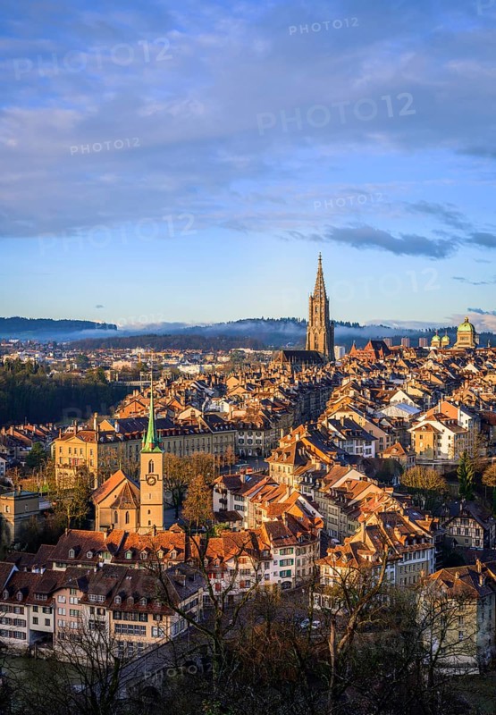 City view in the morning light, view from the rose garden to the old town