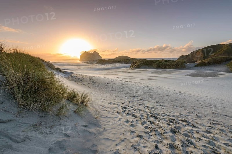 Sand dunes at sunset, Wharariki Beach Puponga