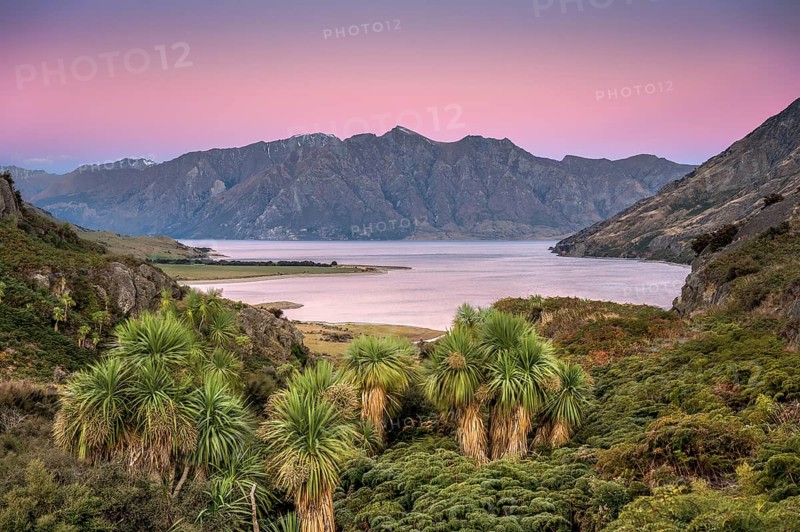 Subtropical palm plants and ferns at Lake Hawea, mountain range at sunset