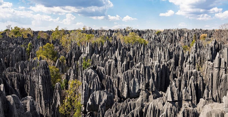 Karst landscape Tsingy de Bemaraha, Tsingy de Bemaraha National Park