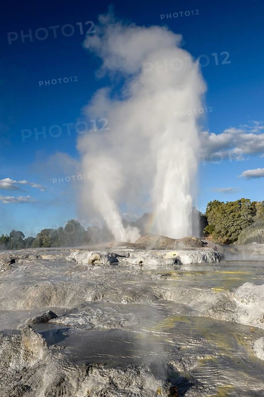 Erupting Pohutu Geyser, Sinter Terraces