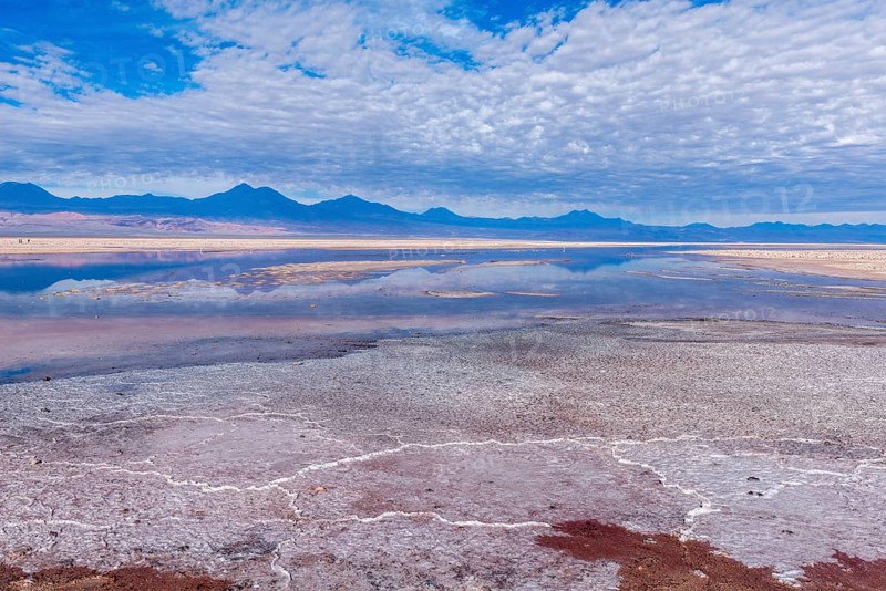 Laguna de Chaxa