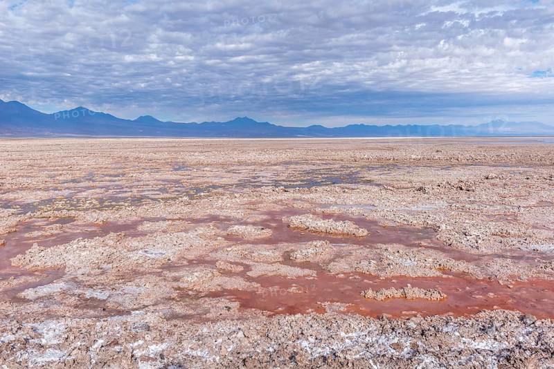 Laguna de Chaxa