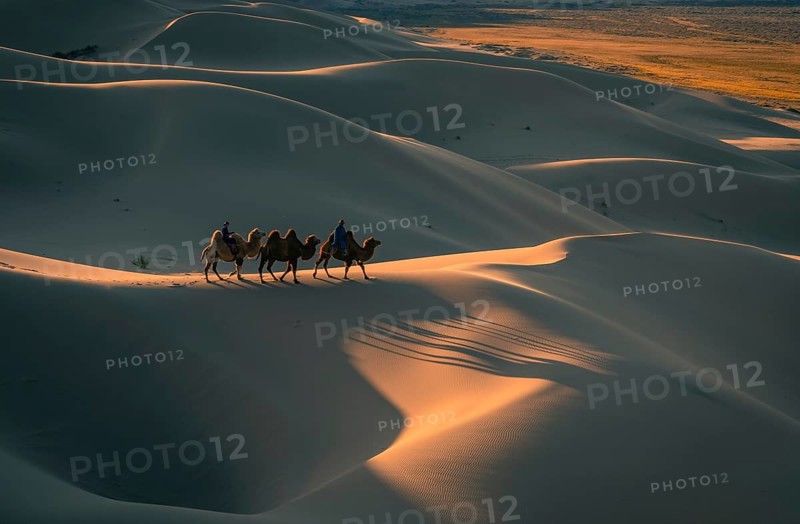 Nomads riding Bactrian camels