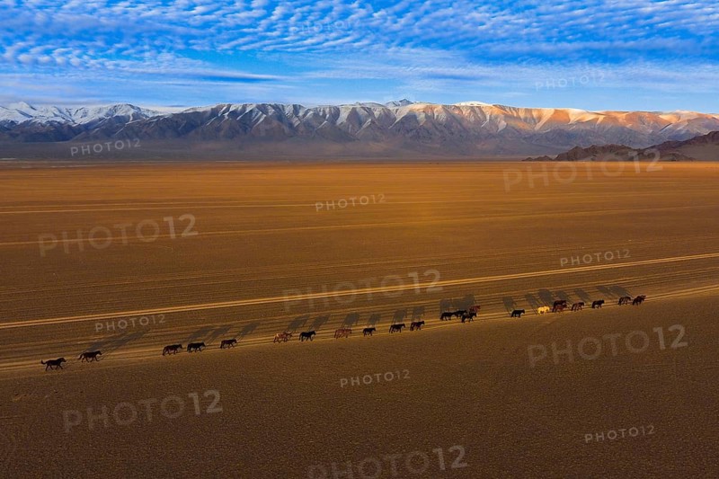 Sutai Mountains