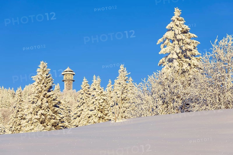 Snow-covered fir trees with Feldberg tower