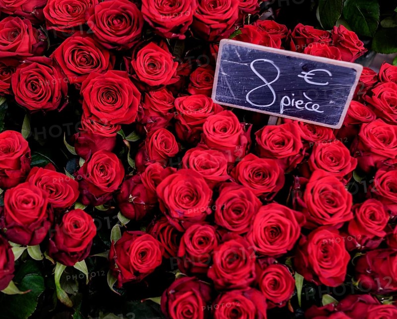 Red roses with price list on Valentine's Day