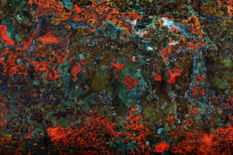 Rusty tin