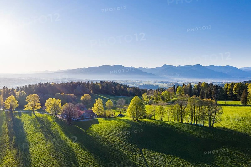 Buchberg near Wackersberg in the morning light