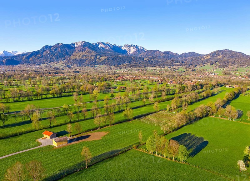 Hedge landscape in the Isar valley near Gaissach